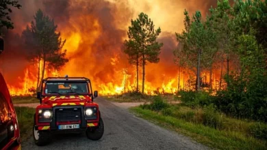 Photo of Los incendios continúan castigando Francia y España en plena ola de calor