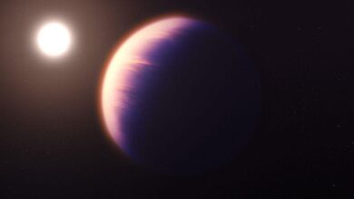 Photo of El telescopio espacial James Webb detecta dióxido de carbono en la atmósfera de un exoplaneta