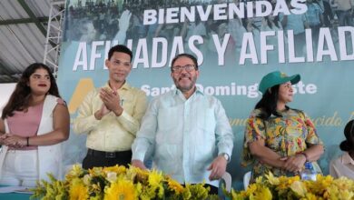 Photo of Alianza País dice que consulta pública del PLD fue una “votación pírrica”