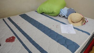 Photo of Registran 55 feminicidios durante este año en el país