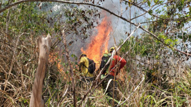 Photo of Bomberos avanzan en el control del incendio forestal en Saltos de Jima