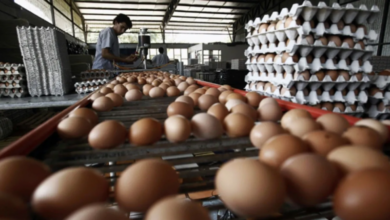 Photo of Productores huevos piden revocar cierre de frontera