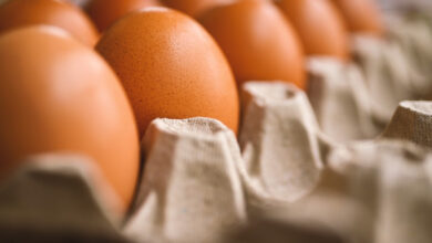 Photo of PLD exhorta al Gobierno bajar precios de producción de huevos