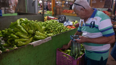 Photo of Comerciantes de mercados capitalinos advierten sobre alzas de los vegetales