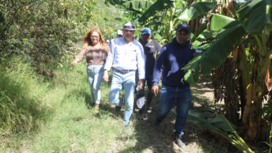 Photo of Agricultura estima pérdidas agro en RD$4,000 millones