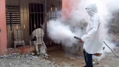 Photo of Dominicano crea software que predice brotes de dengue con 88 % de efectividad