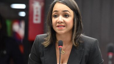Photo of “Milagros Germán afirmó que a Faride Raful la quieren ‘atacar’ y ‘atropellar’ por ser mujer.”