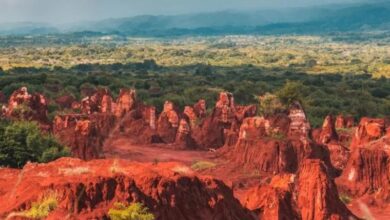 Photo of Abinader señala el potencial económico de las tierras raras, cuyo kilogramo oscila entre US$50 y US$750