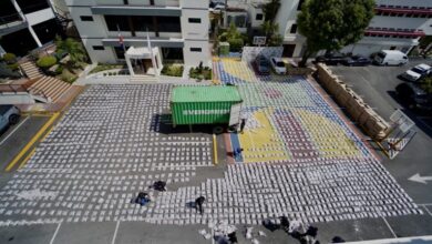 Photo of Decomisan más de 3,000 paquetes de marihuana, el mayor cargamento ocupado de esta droga