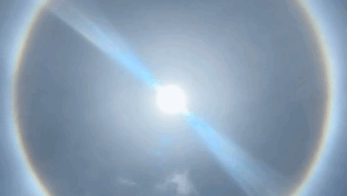Photo of Se forma halo solar; recomiendan no mirarlo directamente