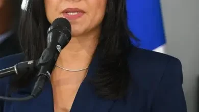 Photo of Faride Raful promete habrá sanciones