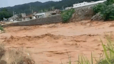 Photo of Tres puentes peatonales colapsados tras crecida del río Tireo en La Vega