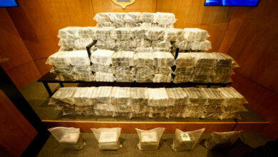 Photo of “Operación Lanza del Sur” ha decomisado 1,666 kilogramos de droga en RD