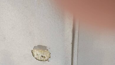 Photo of Aeronave con registro dominicano recibe impactos de bala durante vuelo en Haití