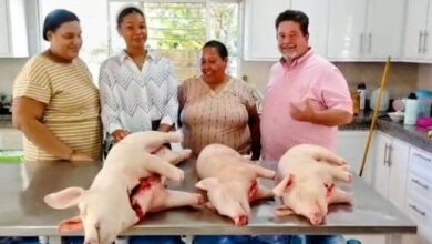 Photo of Dirección General de Ganadería dona cerdos a instituciones benéficas de Puerto Plata