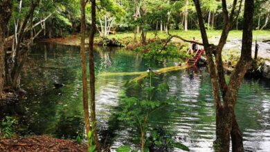 Photo of El Estado deberá pagar RD$313.7 millones por terrenos del Monumento Natural Hoyo Claro
