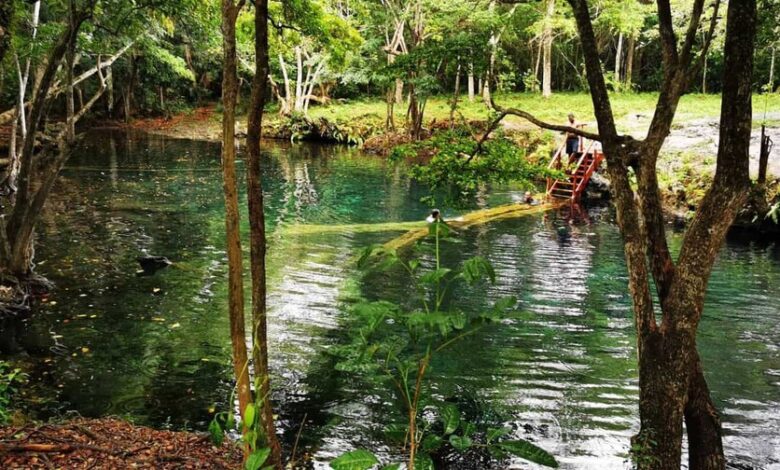 Hoyo Claro es un cenote de agua salobre ubicado en Higüey, La Altagracia.