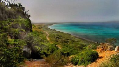 Photo of Emiten sentencia que ordena modificar límites del Parque Nacional Jaragua; Medio Ambiente la rechaza