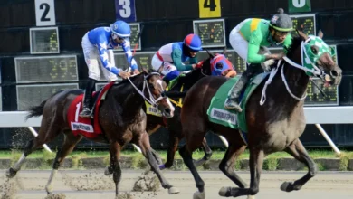Photo of Celebrarán este sábado el Clásico Día Internacional de la Mujer en el Hipódromo