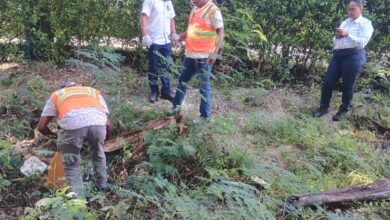 Photo of Agricultura inicia pago de más de RD$59 millones a técnicos y jornaleros de programas sanitarios