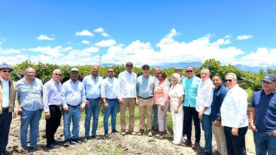 Photo of Ministro de Agricultura resalta potencial de producción de uvas en San Juan