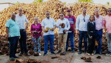 Photo of Empresa multinacional inicia inversiones en el sector coco de República Dominica