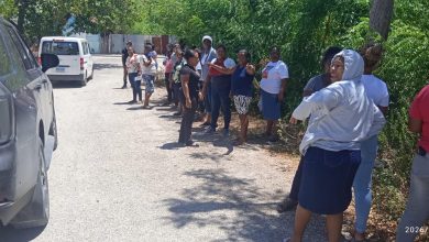 Photo of Padres y madres de la Escuela Básica Damián Vólquez